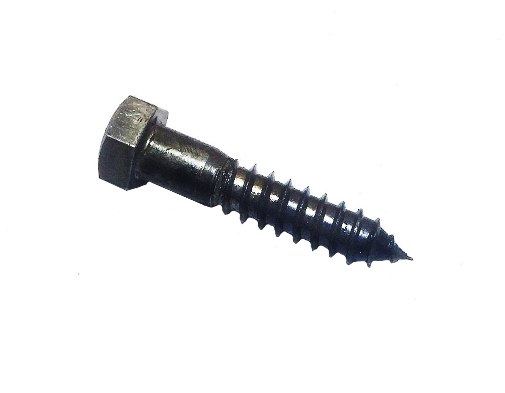 Plain Finish 2" Lag Screw (Pack of 10) (Actual product is unfinished steel unless powder-coating is chosen at checkout.)